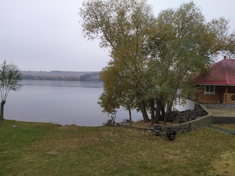 Черепаха Степашки