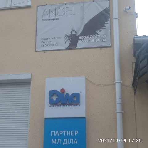 Angel ПЕРУКАРНЯ