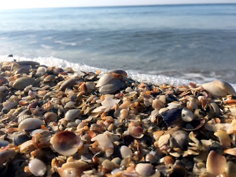 База відпочинку Морський Пегас