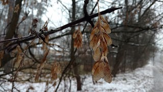 Парк Поляна