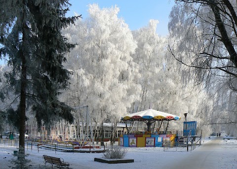 Карусель та гойдалка