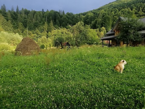 Садиба Федорчуків За рікою