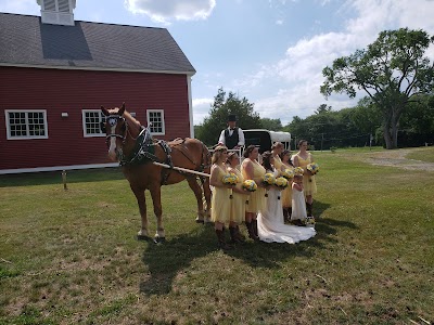 photo of Mainely Drafts Horse And Carriage