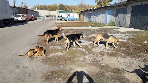 Перетяжка салону автомобіля, перетяжка керма шкірою