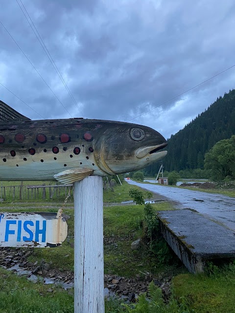 Колиба Риба / Pub Fish