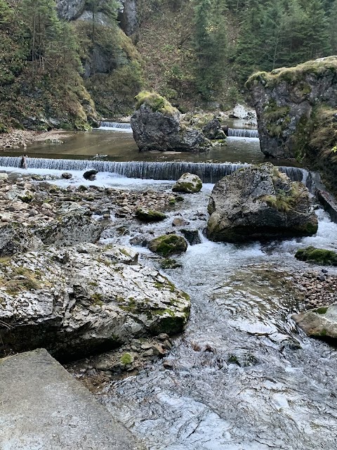 Чернівецьке екскурсійне бюро