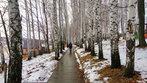 Новосеменівський ставок