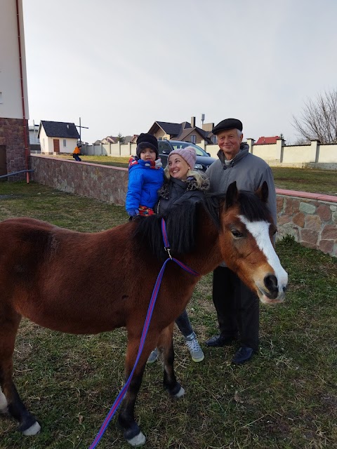 Поні клуб "Shetland" (Шетленд)