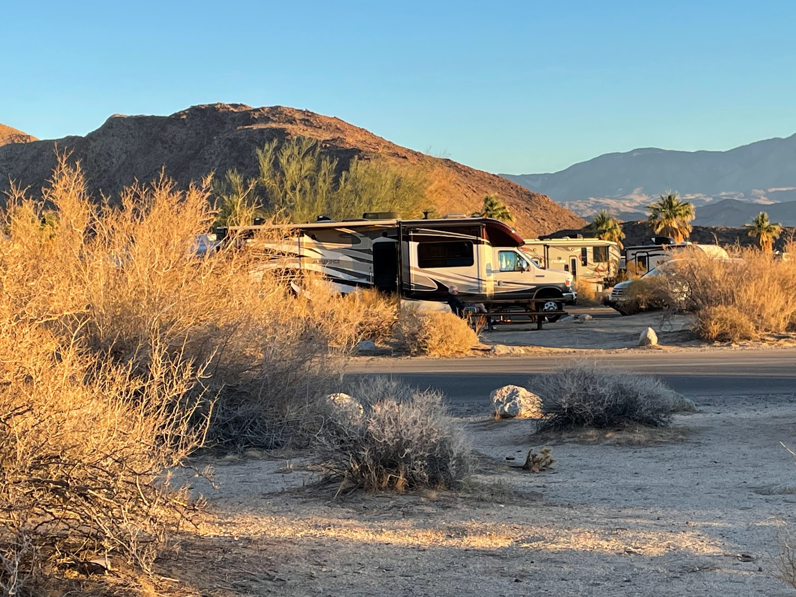 Borrego Palm Canyon Campground