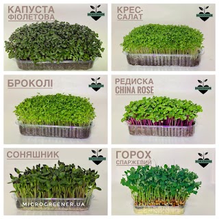 Микрозелень (Микрогрин) купить в Киеве - MICROGREENER