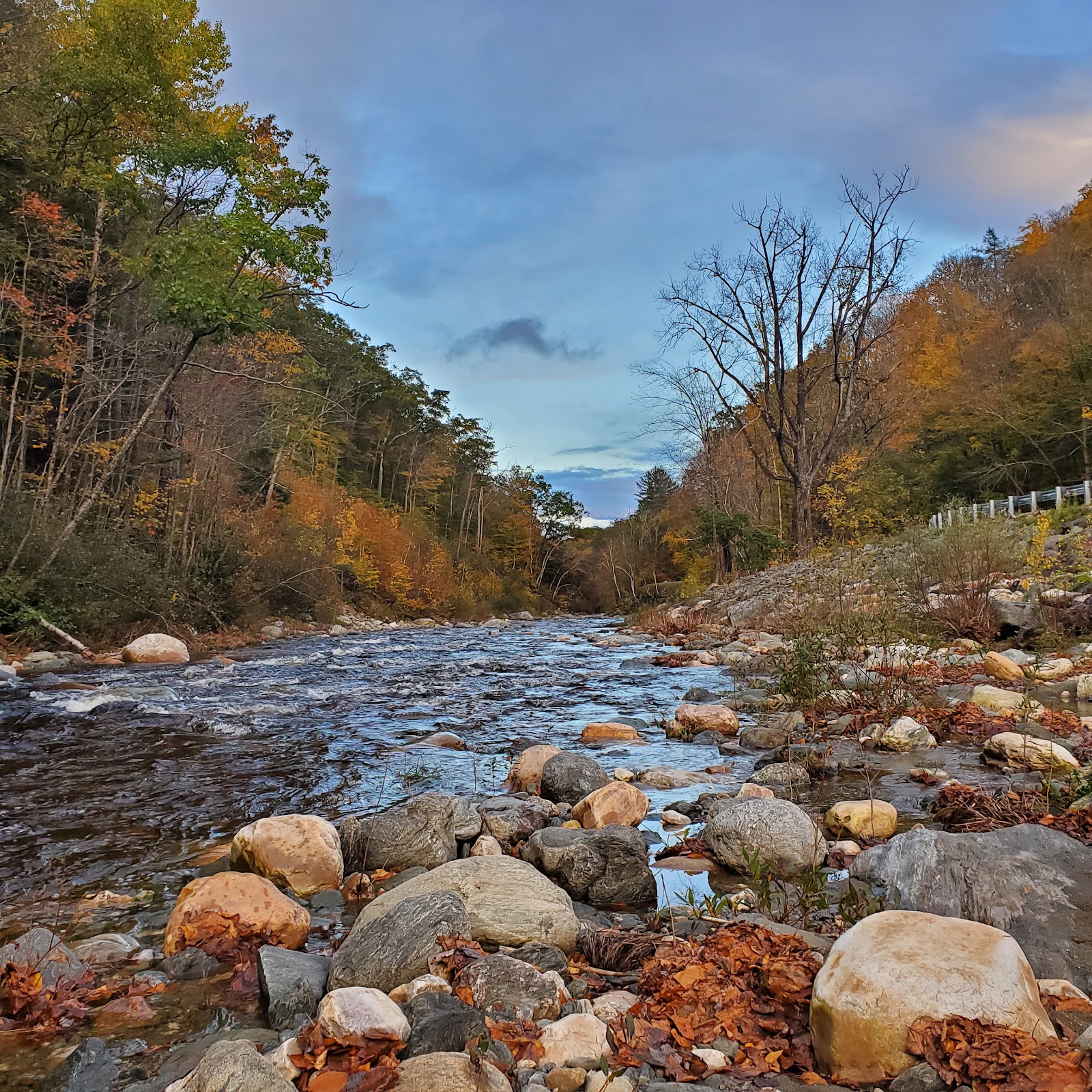 Mohawk Trail State Forest