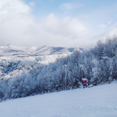 Садиба "Біля лісу" в Поляні