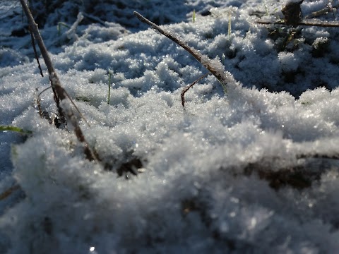 ТОВ ВОДОГРАЙ