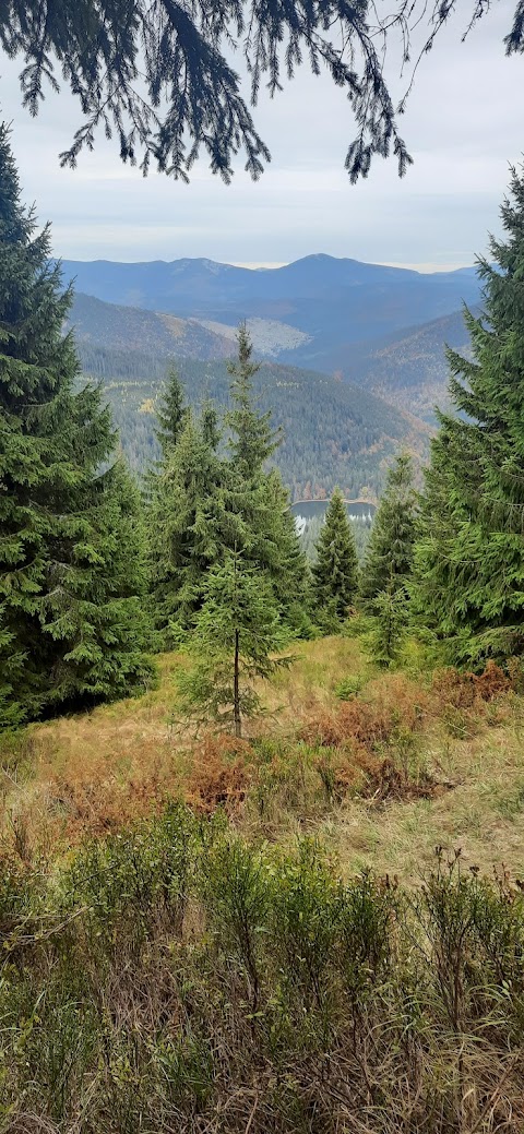 Synevyr lake