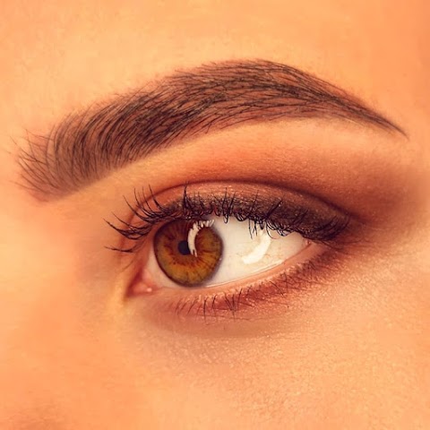 Like_brows studio