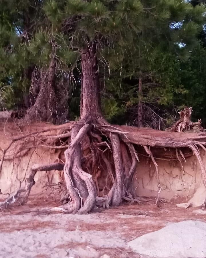 Sunset Campground