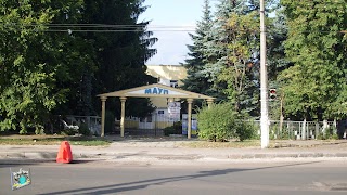 Житомирський інститут МАУП