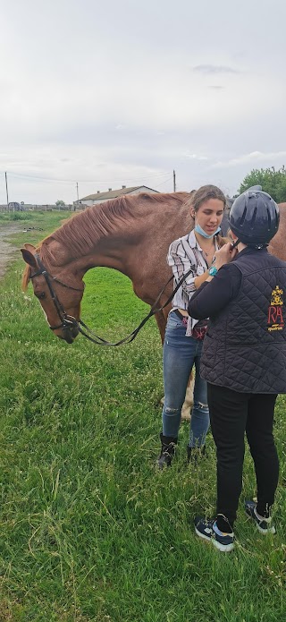 Верховая езда в Полтаве