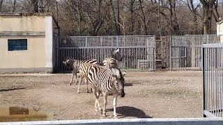 Одеський зоопарк