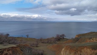 Овідіопольська центральна районна лікарня