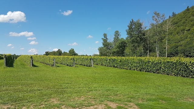 DOMAINE DU MONT-VÉZEAU