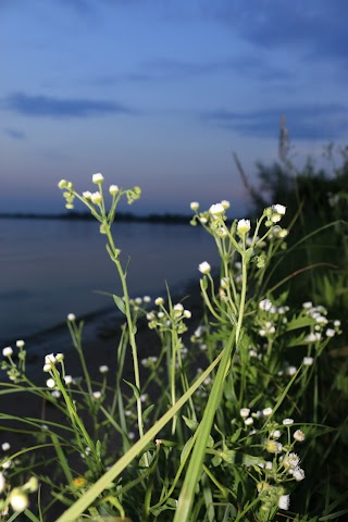 острів Великий