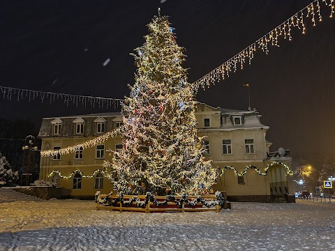 Яремчанська міська рада