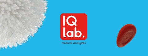 IQLab