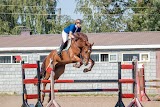 Кінно-спортивна школа Олімпійського резерву України