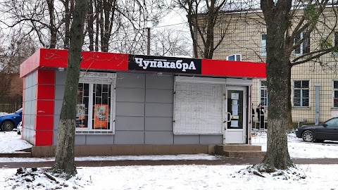 Зоомагазин "Чупакабра"