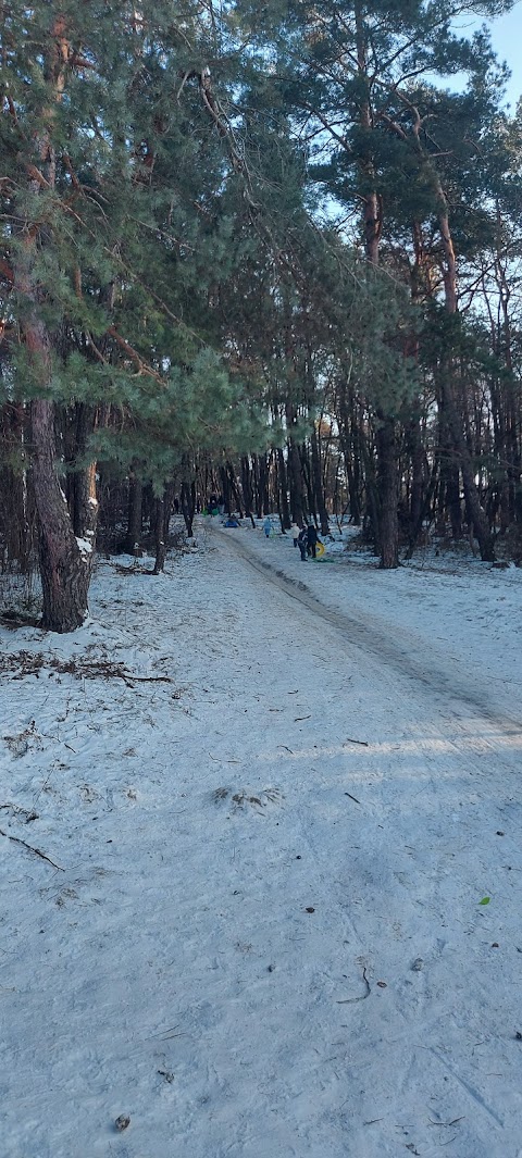 Волинські Карпати