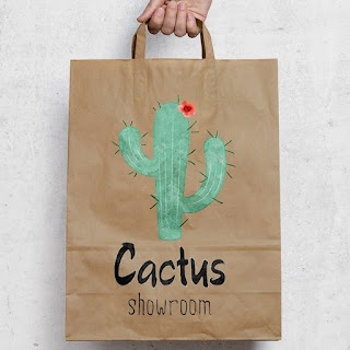 Cactus showroom