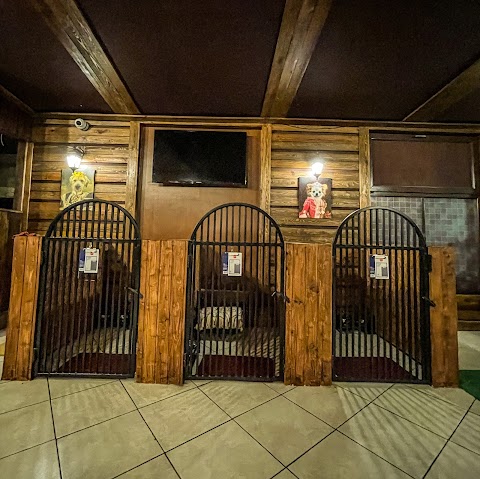 DOG PALACE - Одесский гостинично-кинологический комплекс.