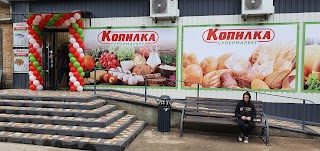 Копилка