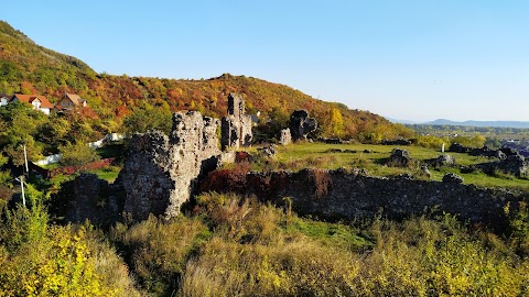 Виноградівський замок (Замок Канків)