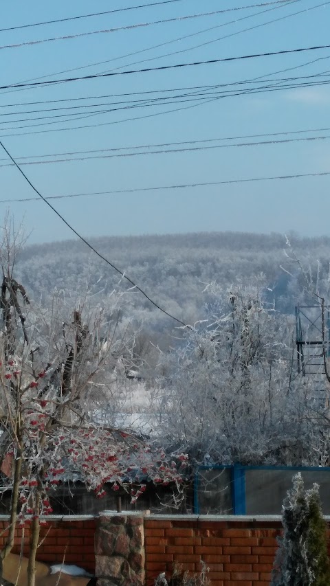 Музей трипільської культури