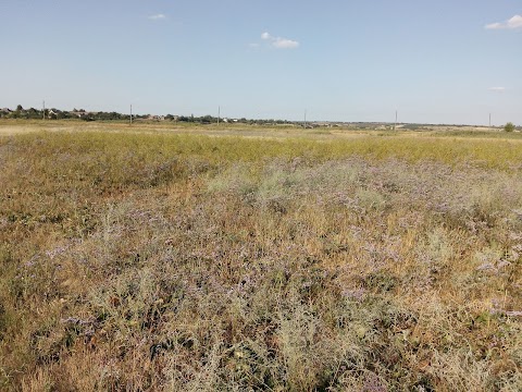 'ОРІХІВСЬКА ДИТЯЧО-ЮНАЦЬКА СПОРТИВНА ШКОЛА ОРІХІВСЬКОЇ РАЙОННОЇ РАДИ ЗАПОРІЗЬКОЇ ОБЛАСТІ