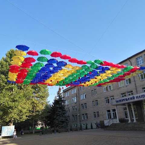 Запорізький національний університет