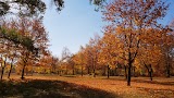 Інститут проблем машинобудування ім. А. М. Підгорного Національної академії наук України