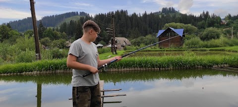 Садиба під соколією