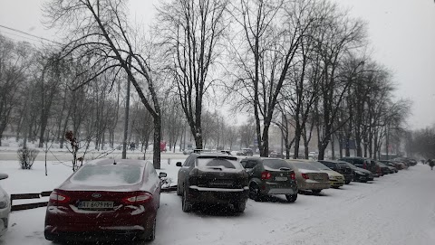 Сінево