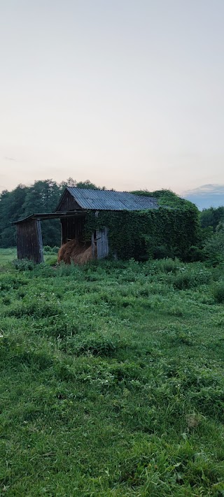 Райський закуток