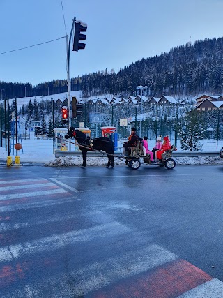 Буковель