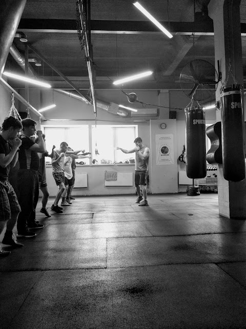 Puncher Boxing Club Kyiv