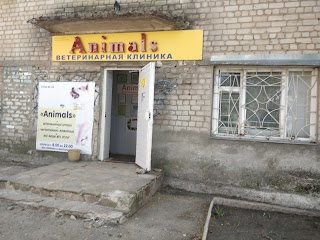 Animals