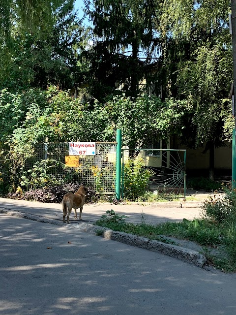 Державна ветеринарна клініка