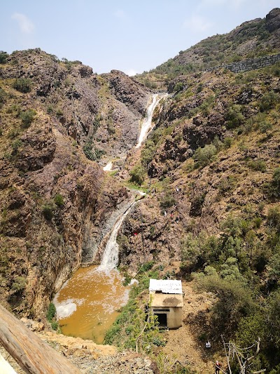 الباحه في غابة خيره الباحة