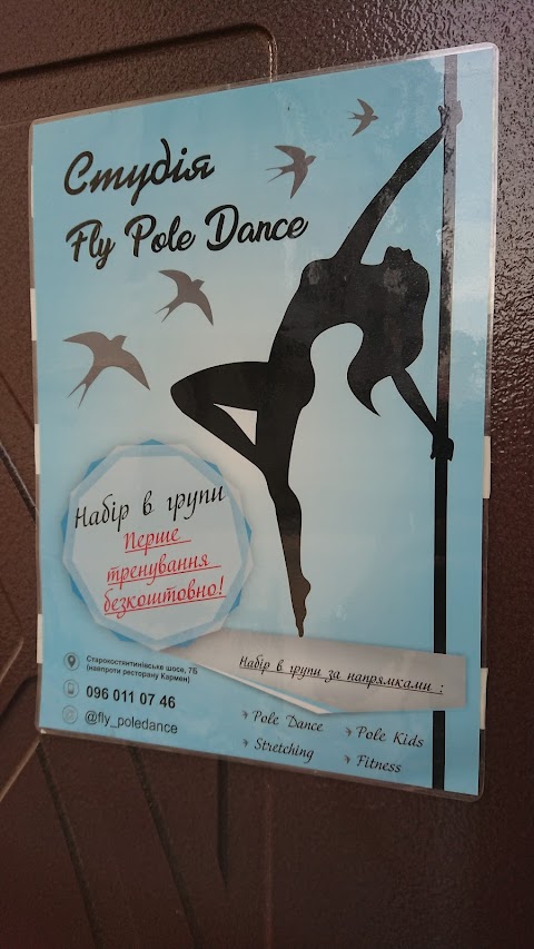 Fly Pole Dance