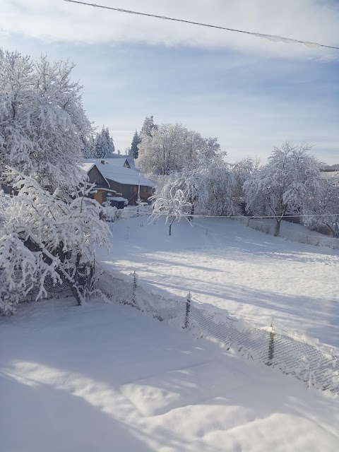 Карпатський куточок