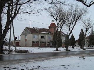 Гніздичівська амбулаторія загальної практики-сімейної медицини